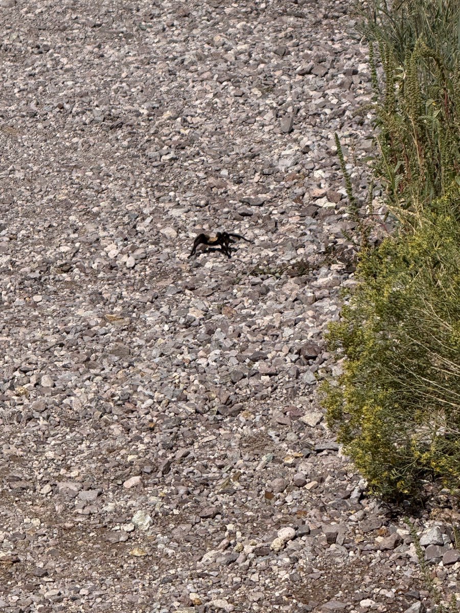 cat heifner tweet media