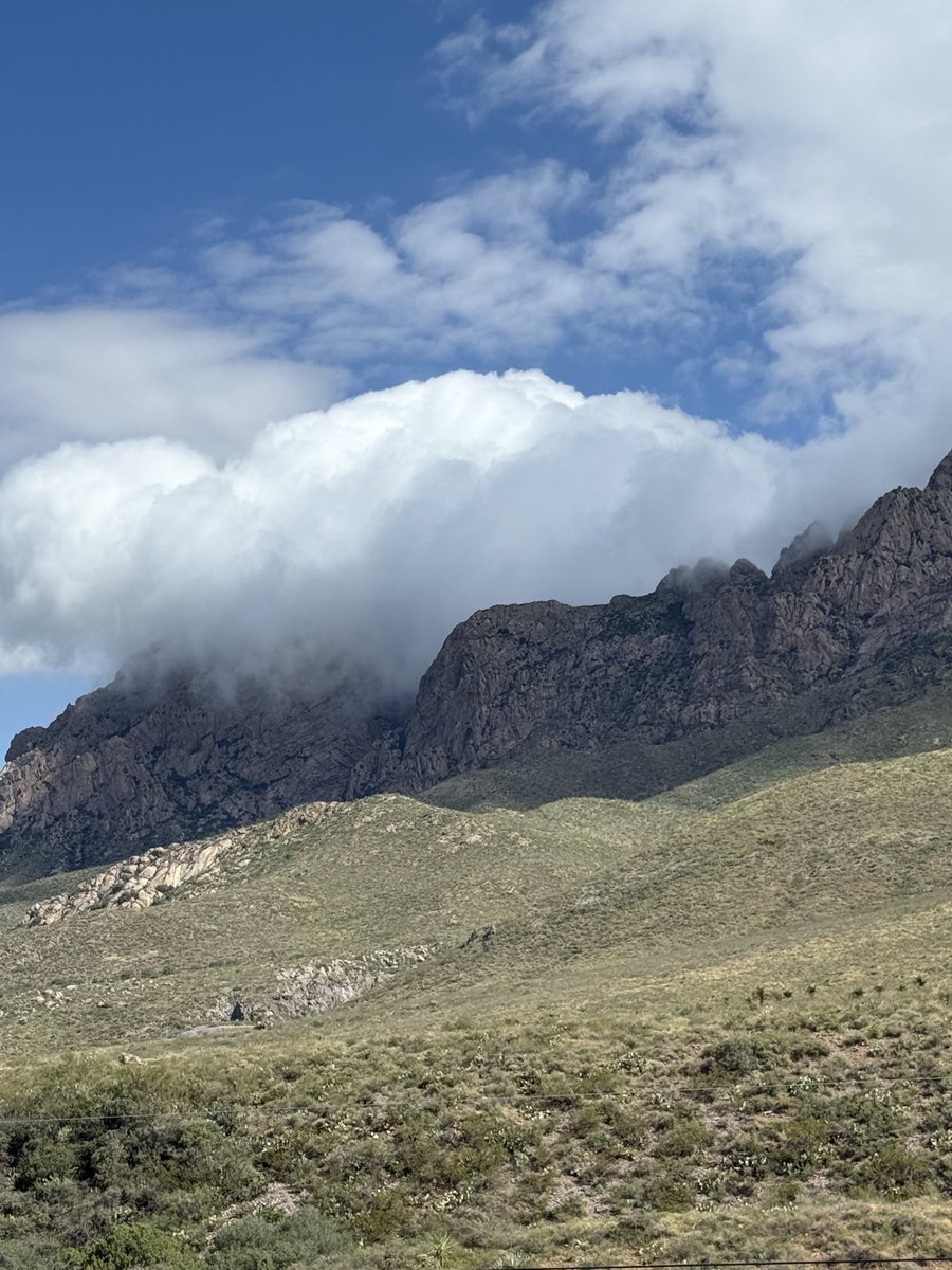 cat heifner tweet media