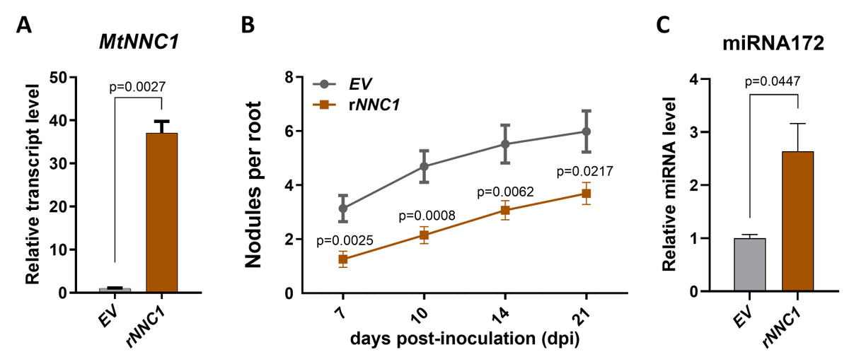 Soledad Traubenik tweet media