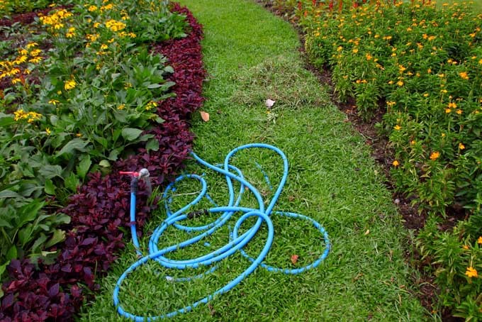 Gardener's Path tweet media