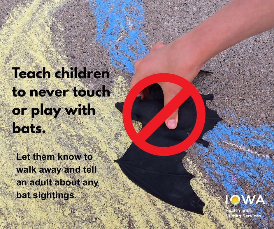 While bats can carry the rabies virus that can make people, pets, and livestock sick, the best way to protect the health of everyone is to protect the natural habitats of bats. When left alone, bats pose little risk.