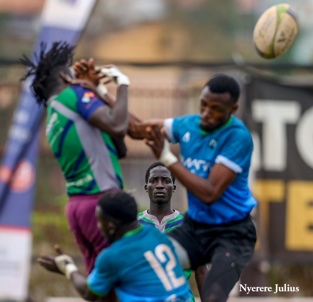 Photograph of the month 📸