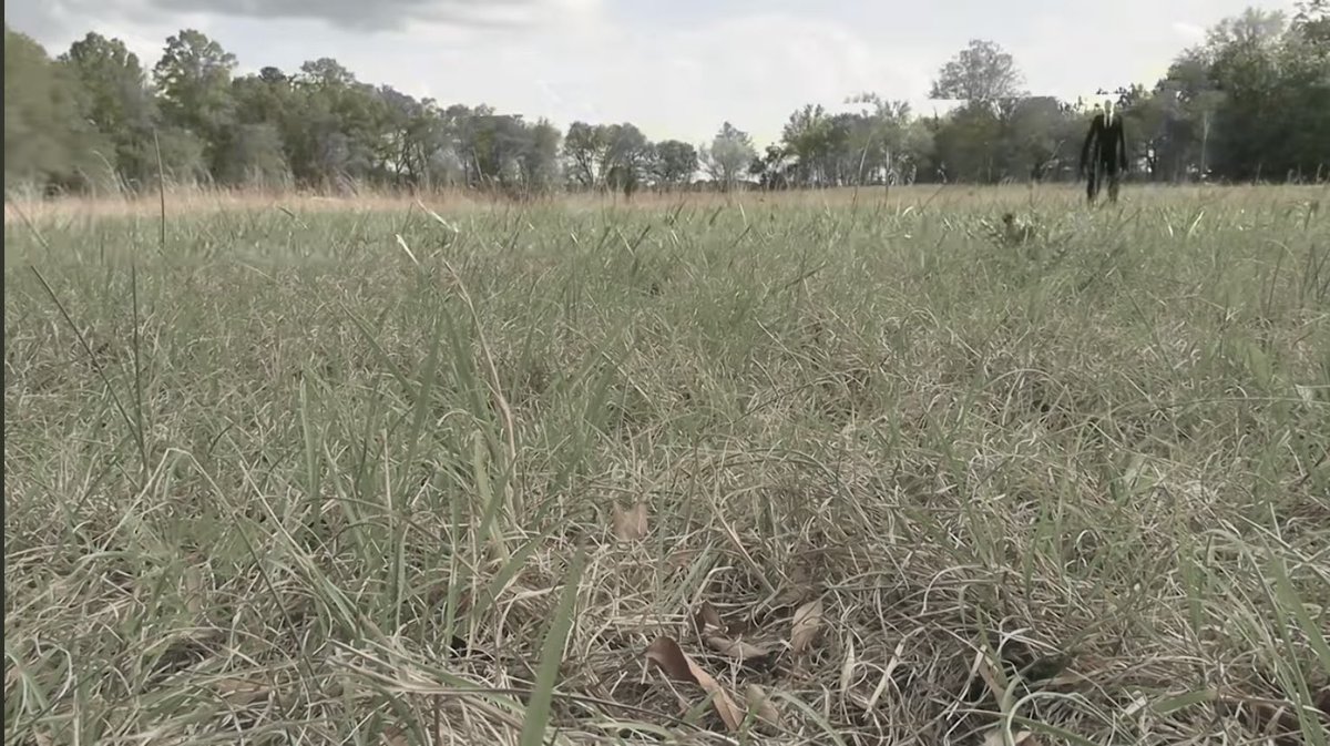 SpectrumWarrior's tweet photo. I hope this isn't the end to Marble Hornets, but if it is, then to Troy Wagner and Joseph DeLage, thank you for the horrific world you created, and may your creation last for as long as the Internet thrives 🥂
#marblehornets #Slenderman #analoguehorror #creepypasta https://t.co/b51NRIJTwu
