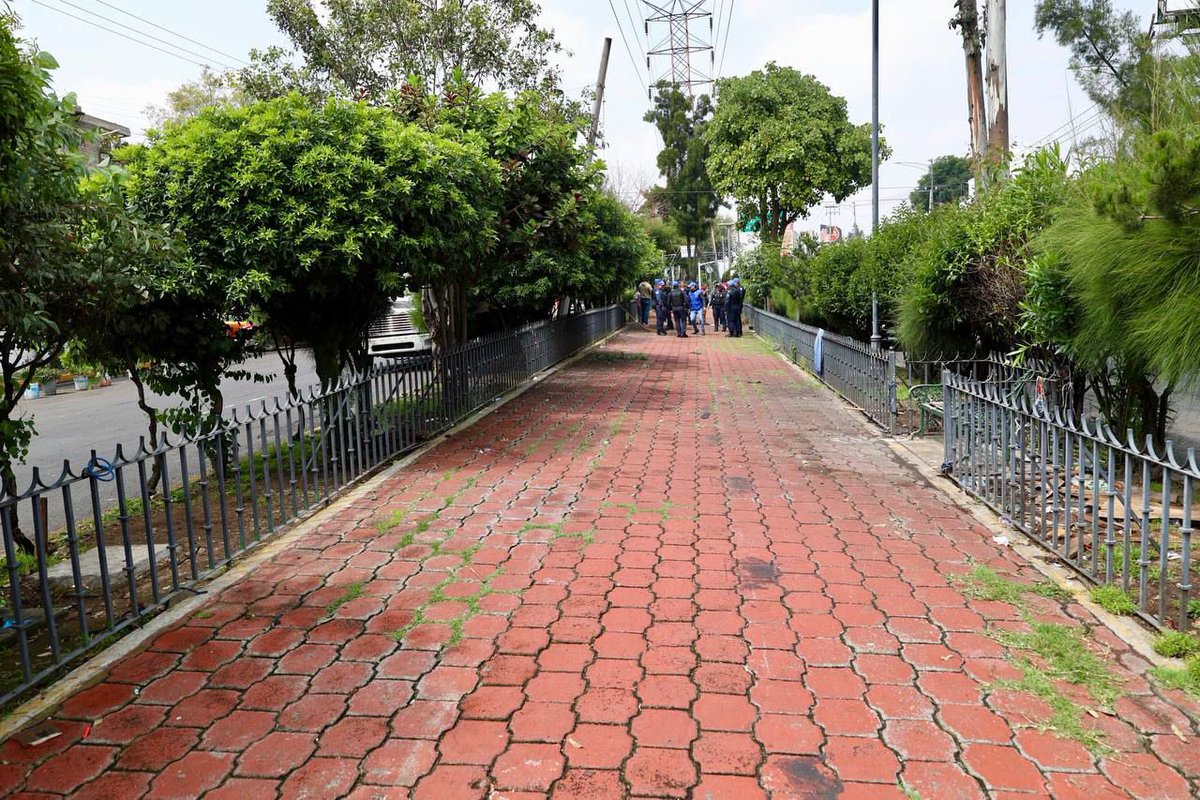🌳Recuperamos el espacio de Eje 10 a la altura de Coyamel y se retiraron 6 toneladas de basura. Por ti y tu familia, seguimos trabajando todos los días en conjunto con gobierno central y todo en respeto a los derechos humanos de las personas en situación de vulnerabilidad.