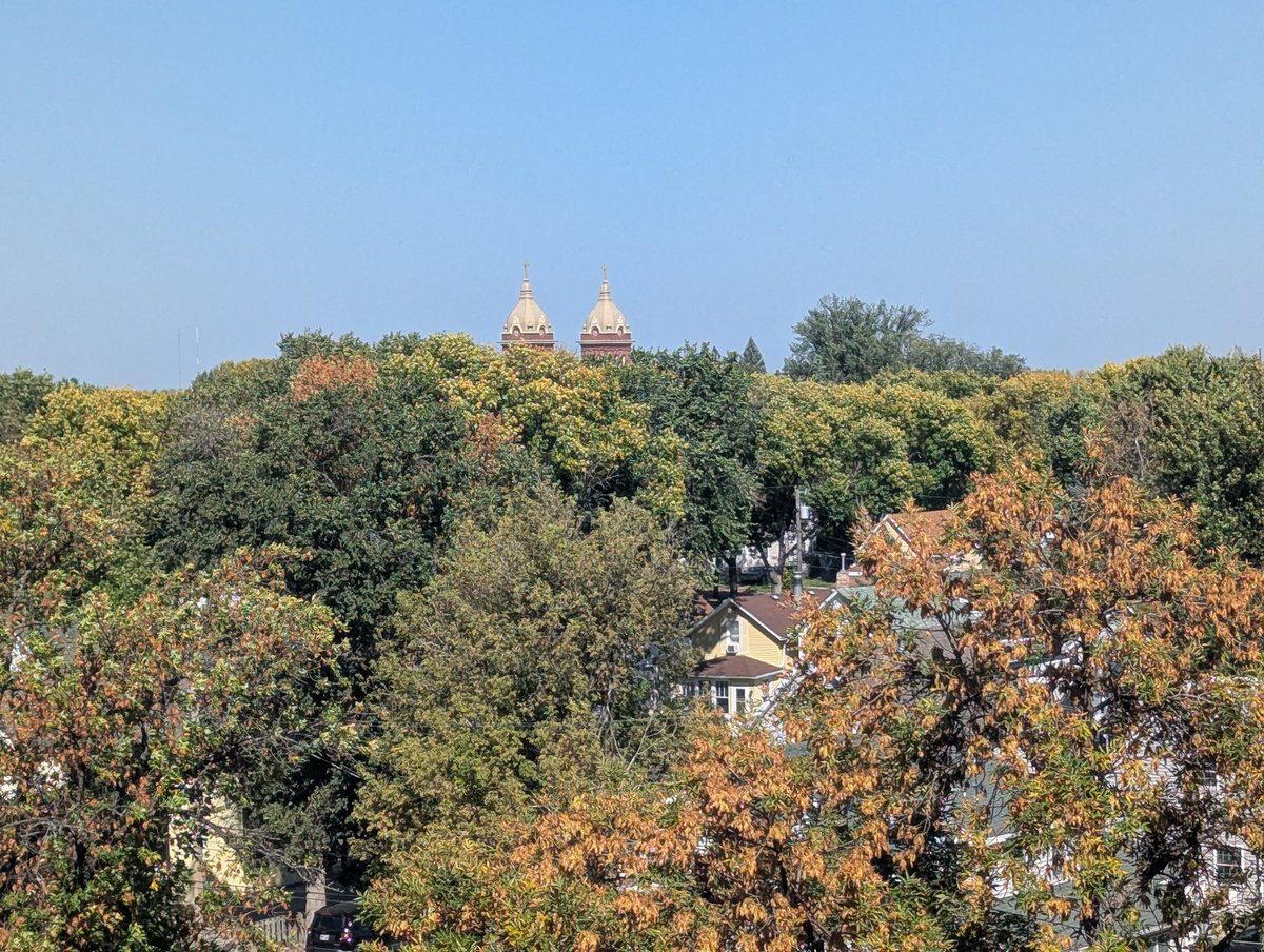 Botany_nerd's tweet image. Lovely colors in Grand Forks, ND! 
Here&apos;s a blog post about autumn leaves.
steamma.blogspot.com/2023/10/decidu…