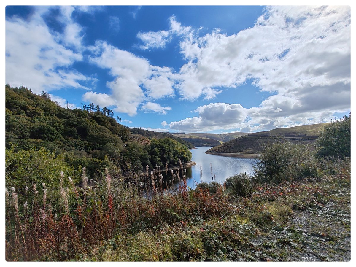 smoggiewalks's tweet photo. Llyn Brianne wander #getoutside #foresttrails #discoverlocal #hillwalking #carmathenshire #lakewalk @DerekTheWeather @OrdnanceSurvey @NatResWales @MidWalesMyWay https://t.co/reShjvgIxe