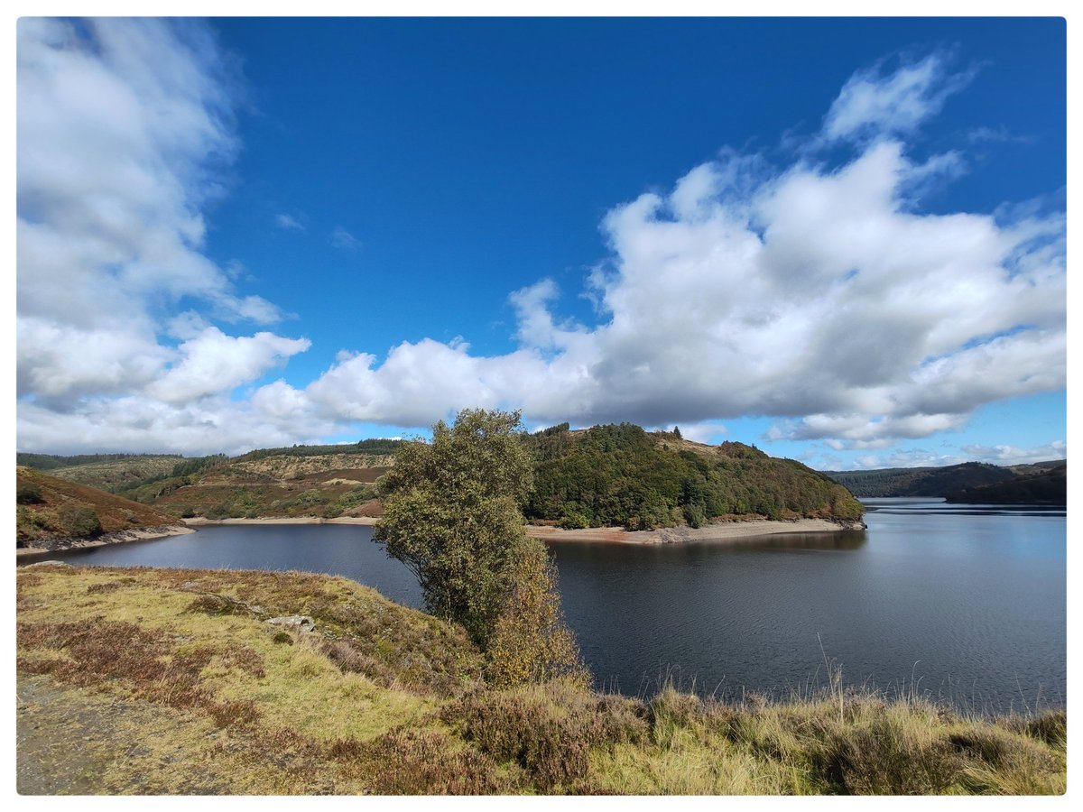 smoggiewalks's tweet photo. Llyn Brianne wander #getoutside #foresttrails #discoverlocal #hillwalking #carmathenshire #lakewalk @DerekTheWeather @OrdnanceSurvey @NatResWales @MidWalesMyWay https://t.co/reShjvgIxe