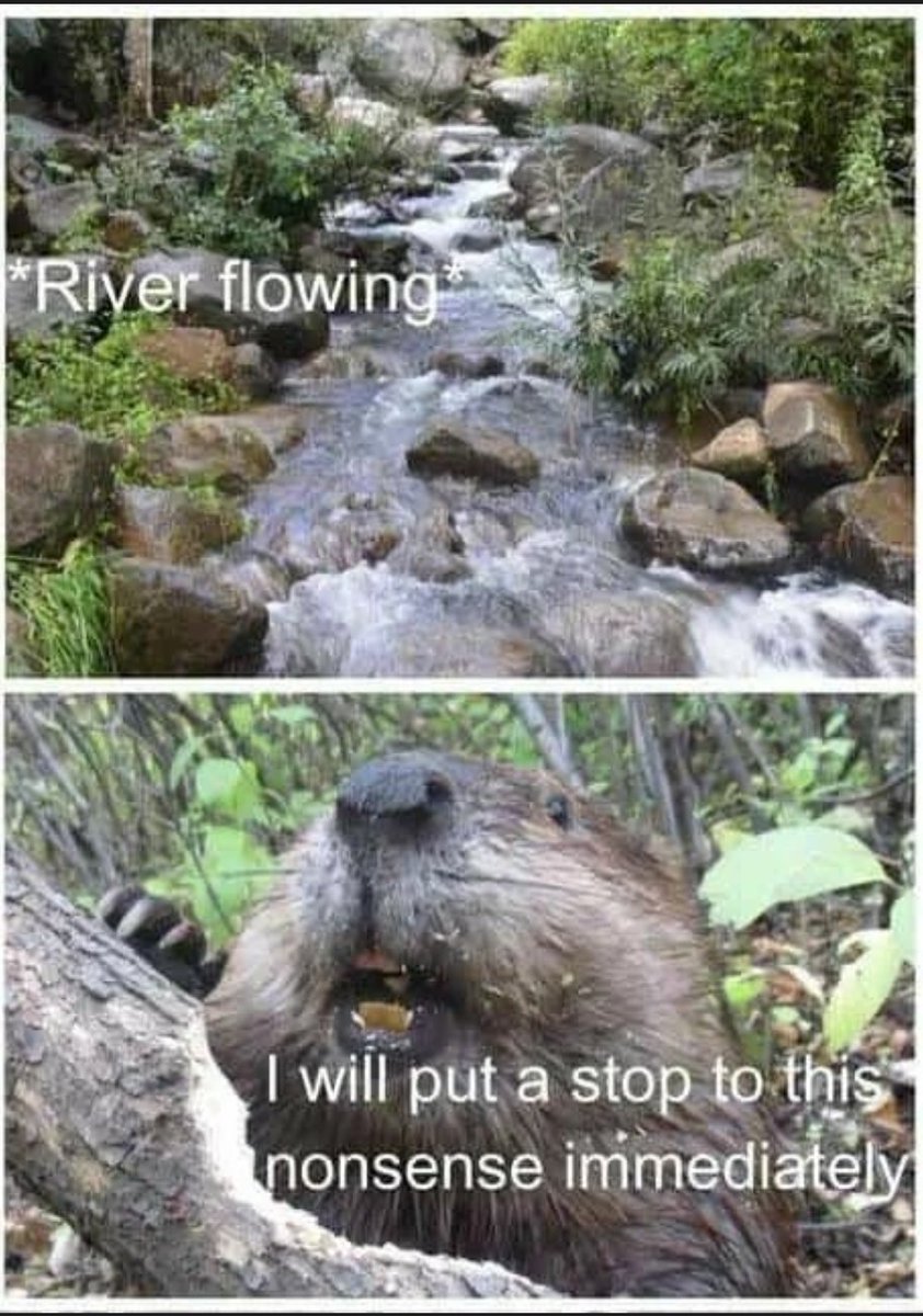 <a href="/gunsnrosesgirl3/">Science girl</a>