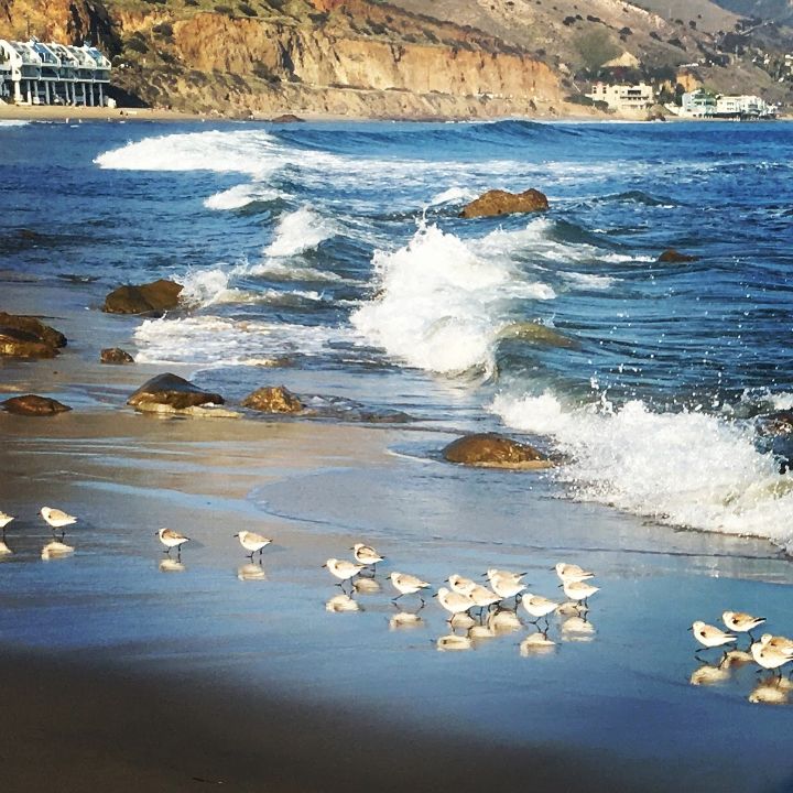 Art of the Day! "Latigo Shores". Buy at: ArtPal.com/art4allpeople?…