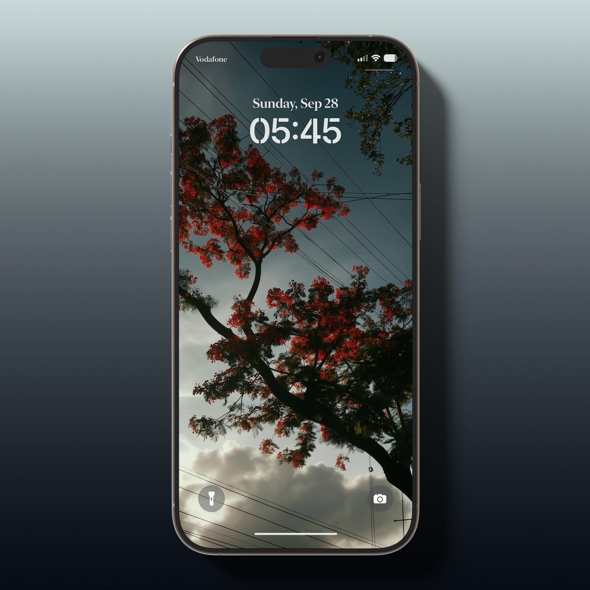 NoCaptionMood's tweet photo. Tree And Sky🍂 https://t.co/X2G3C8Teup