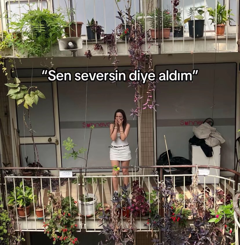 Hamida Hacizade (@hacizadehamida) on Twitter photo 