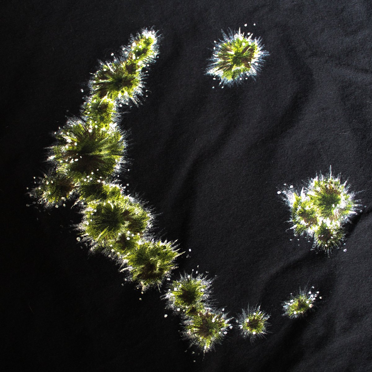 criddir's tweet photo. Been experimenting with some fabric paints of late. https://t.co/kNmbk2rMAg