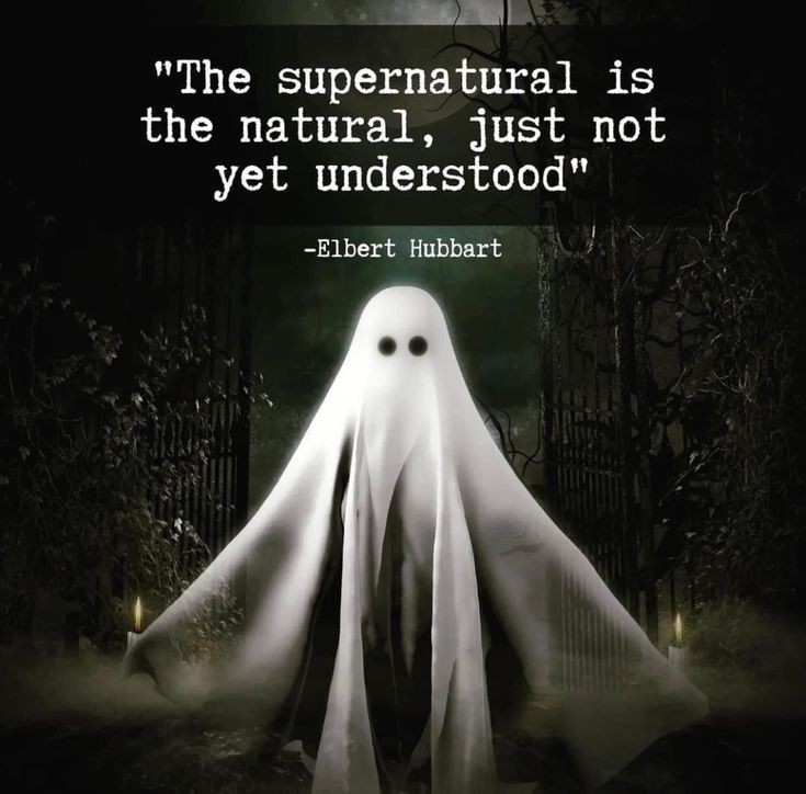 Diane 💫 (@dianeechambers) on Twitter photo 