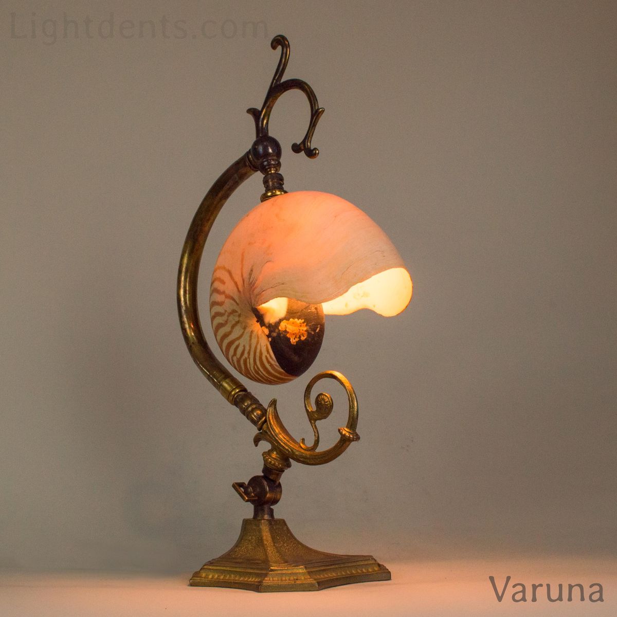 BiancoDavinci's tweet photo. Nautilus Shell accent light lamp. https://t.co/wrxBf0gfNZ