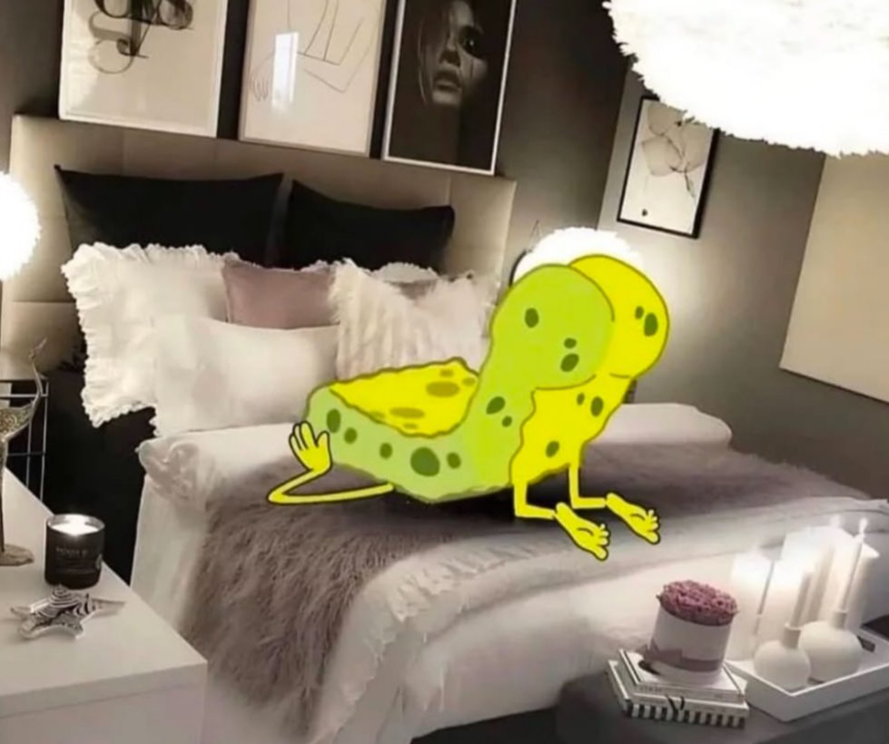 ¯\_(ツ)_/¯ tweet media