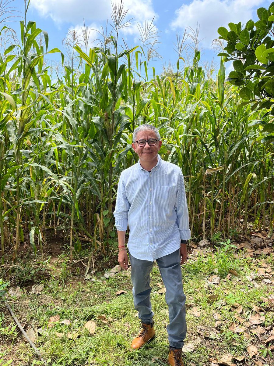 Feliz domingo. Bendiciones!