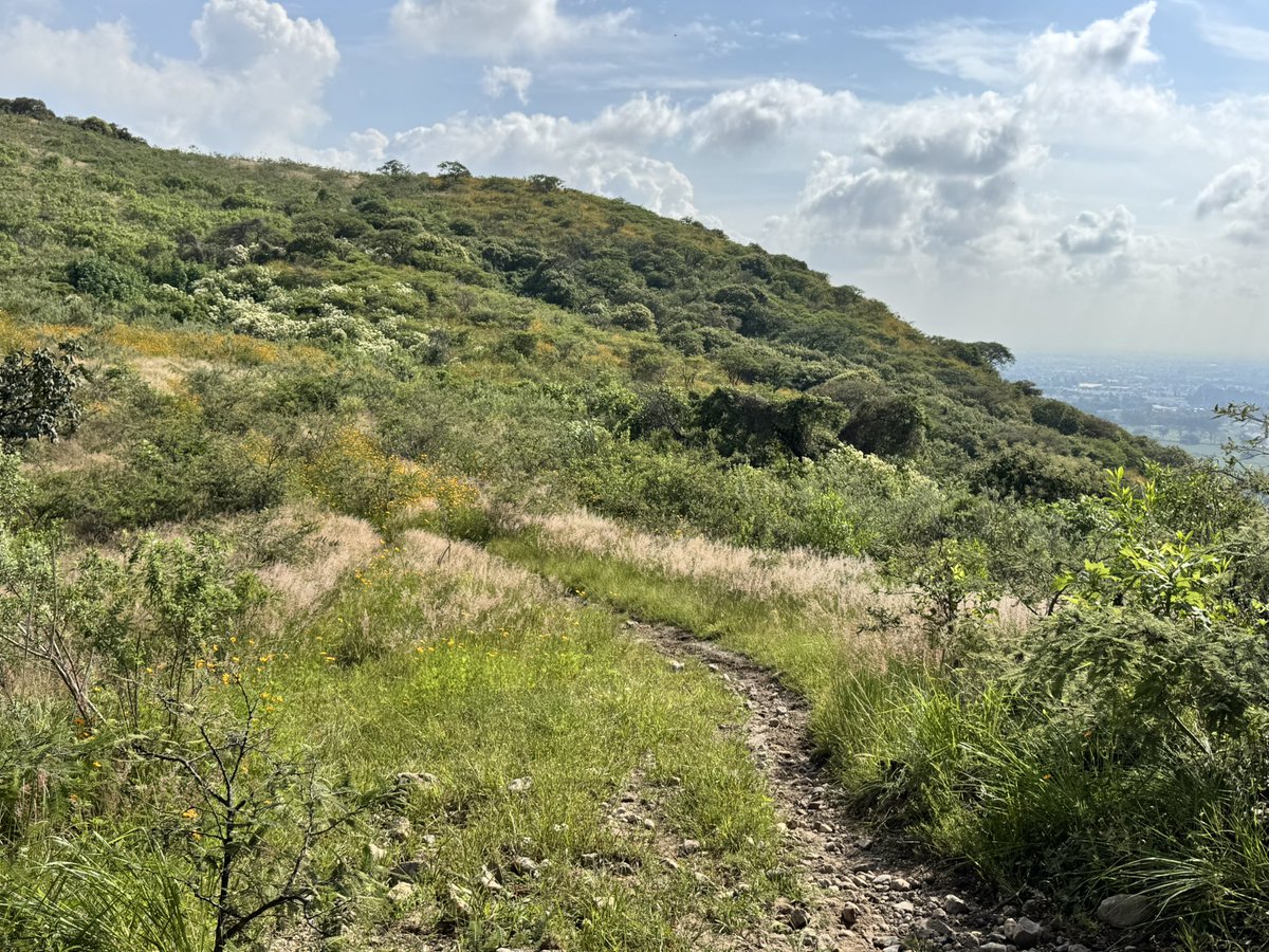Luis_R's tweet photo. 🏞️ https://t.co/yCBWtrt7EU