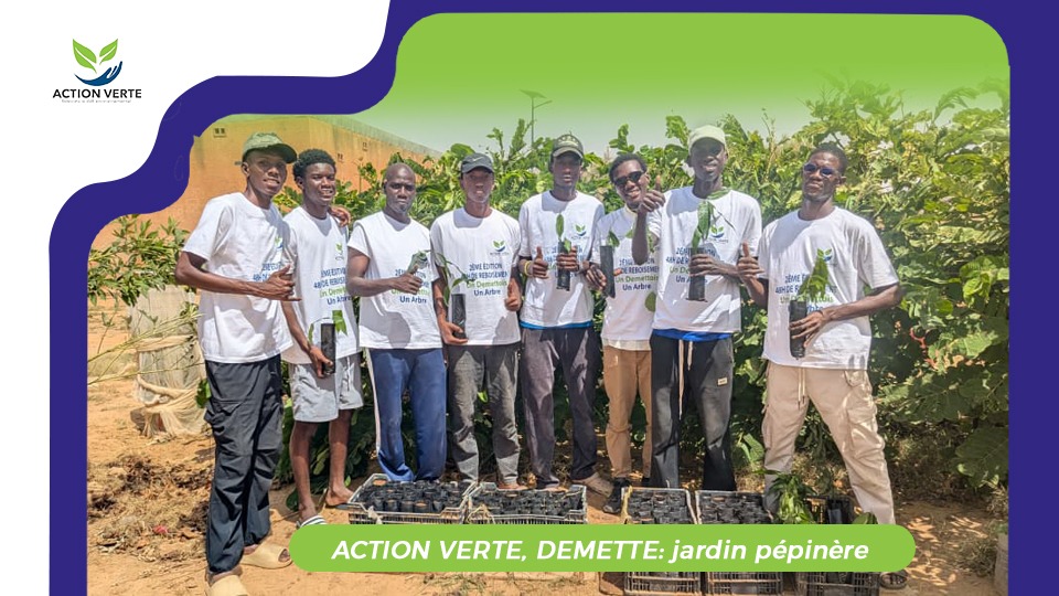 VerteAction's tweet photo. Face à l'avancée du désert, nos volontaires de la section de Démette (Nord du Sénégal) n'ont pas croisé les bras !

Ils viennent de mettre en place une pépinière communautaire pour faire renaître la végétation et combattre  la désertification. 
#senegal https://t.co/fFkoenou0V