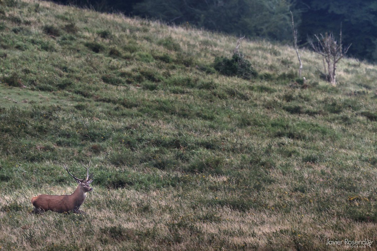 28/9/2025  #reservadelsaja
La fotografía y los momentos.
⭐️Wonder Photo Shop #cabezondelasal javierrosendo.com