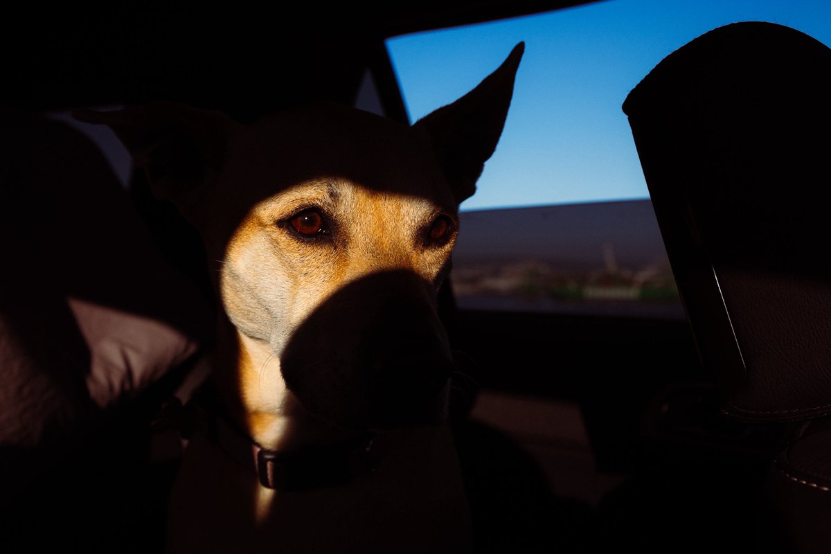 Tenebrous tweet media