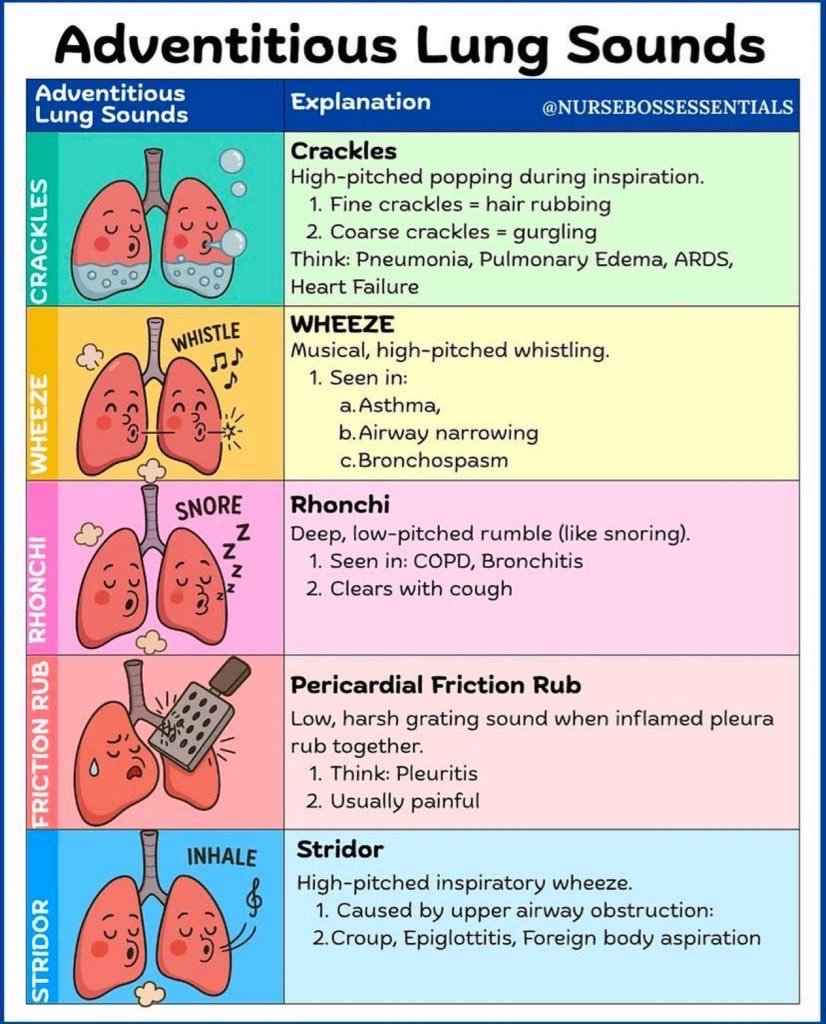 doctors_squad's tweet photo. Lung 🫁 sounds https://t.co/uP1kBHTKqk