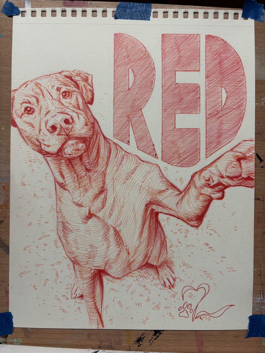 CinderNathan's tweet photo. A couple more shelter dog portraits. Micron pen and ballpoint pen on paper. #shelterdogs #seniordog #petportrait #traditionalart #pendrawing #AdoptDontShop https://t.co/em5qz4qVWO