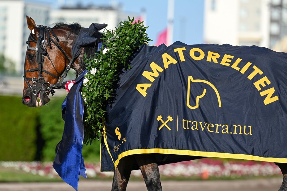Har du köpt häst på Travera mellan 1 oktober 2024 - 30 september 2025?

Missa då inte chansen att anmäla din häst till Traveraloppet som körs på Solvalla 10 oktober med 150.000 kronor i förstapris!

travera.nu/aktuellt/trave…