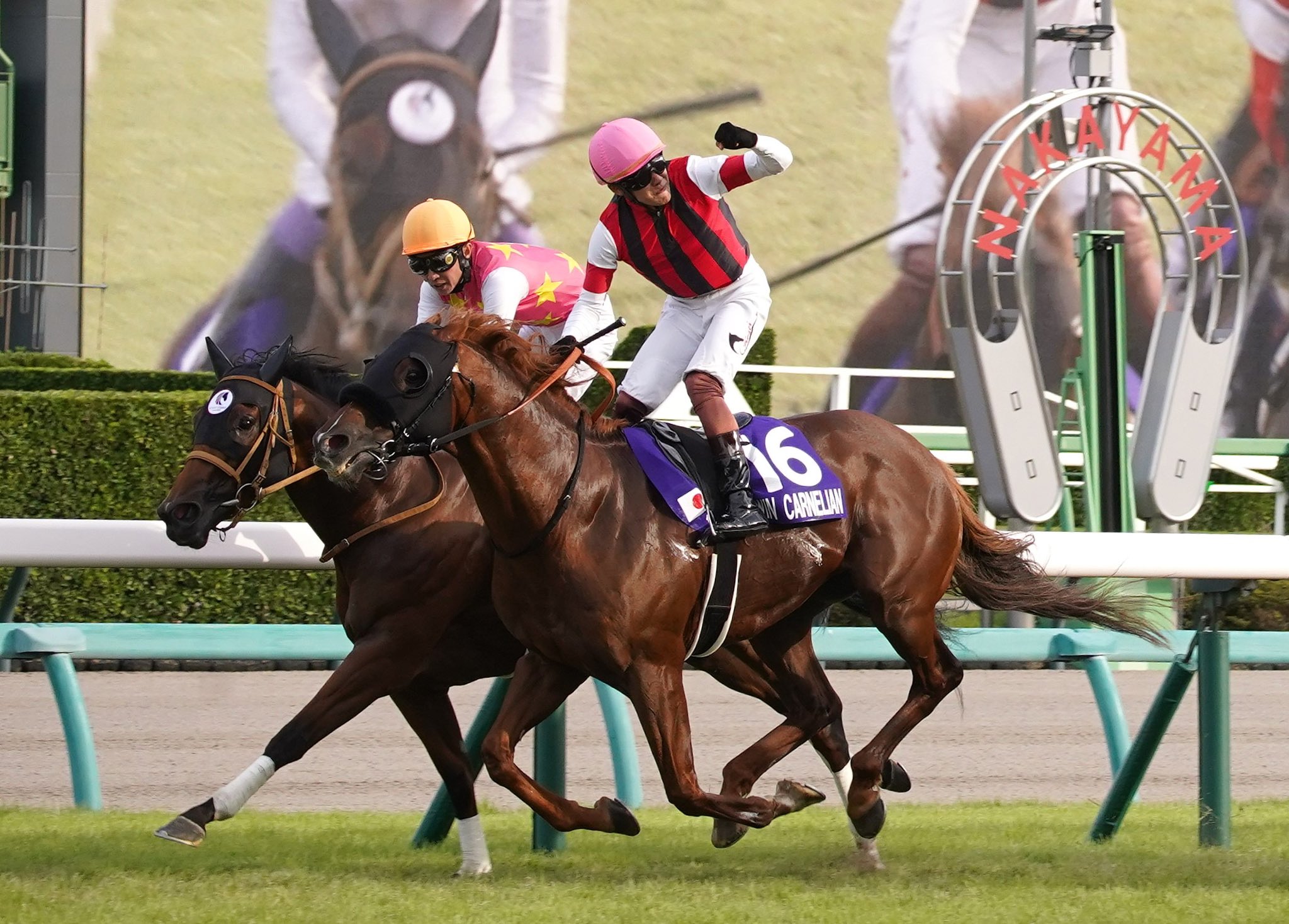 王馬小吉　エビテン Green-Garbed Heart | WIXOSS Wiki | Fandom