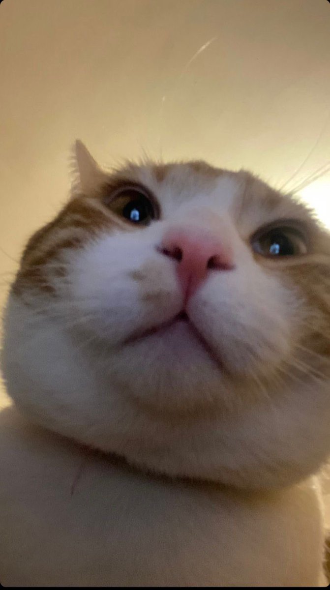 𝐻𝑒𝑟 𝑠𝑜𝑛𝑏𝑎ℎ𝑎𝑟𝑑𝑎 𝑏𝑖𝑟 𝑣𝑒𝑑𝑎…🤎