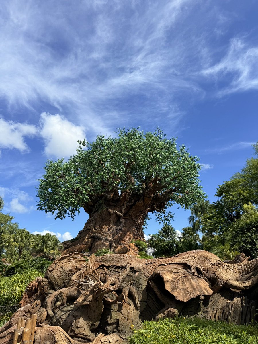 chloe_coasters's tweet image. Animal Kingdom was so cute 🥺💖🐘🐆

@Disney @WaltDisneyWorld #animalkingdom #treeoflife #worldofavatar