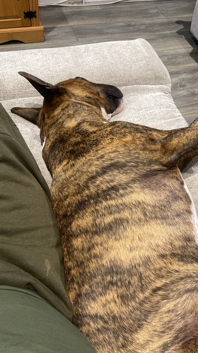 Some one was on a bully meet this morning he’s whacked