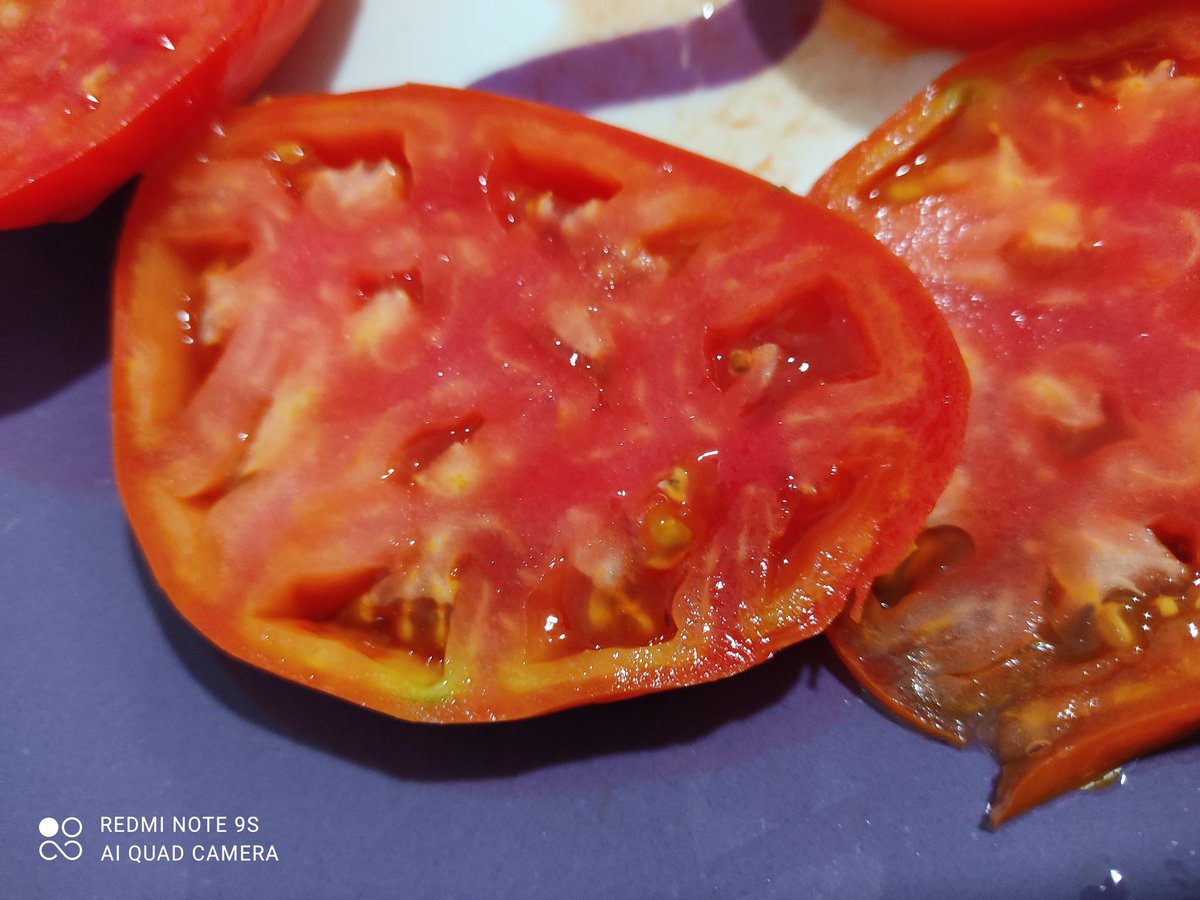 bodegaramonramo's tweet photo. Tomate de vendimia para recuperar fuerzas recién sacado de la huerta, https://t.co/kA0gP8d4vq