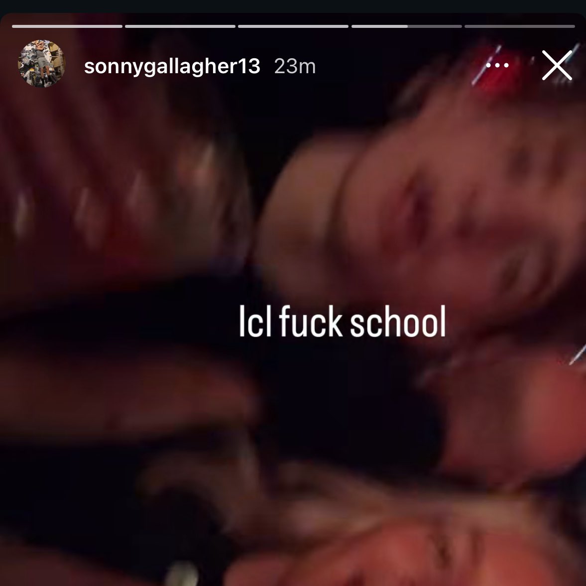 lily saw oasis 🍋 loves pau tweet media