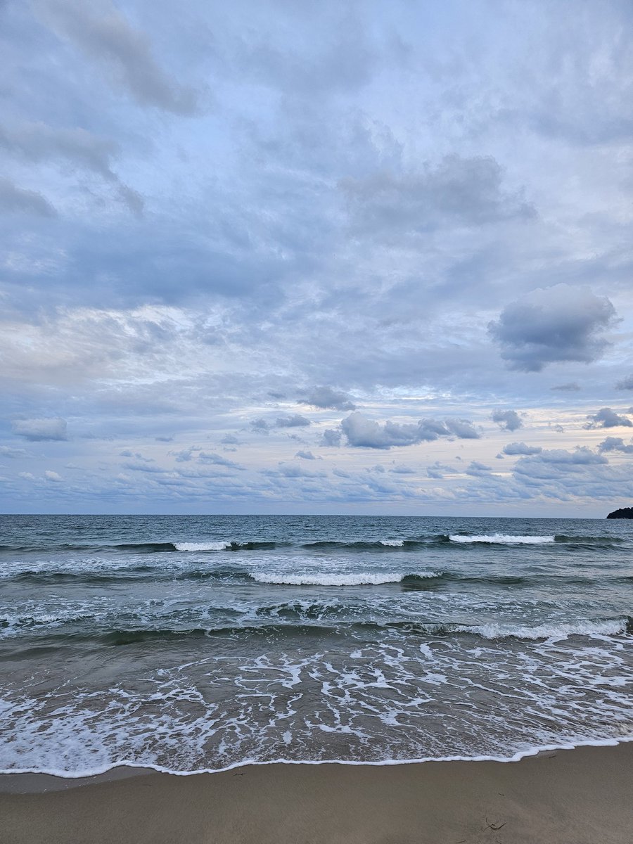 Alex Bilko tweet media