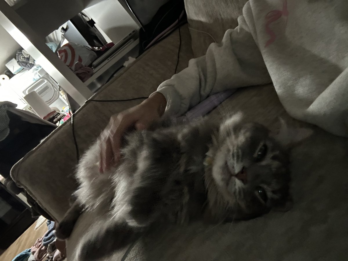 SnoozieRL's tweet photo. @Volterohh She is living life to the fullest 😂 https://t.co/aNjke0EzoI