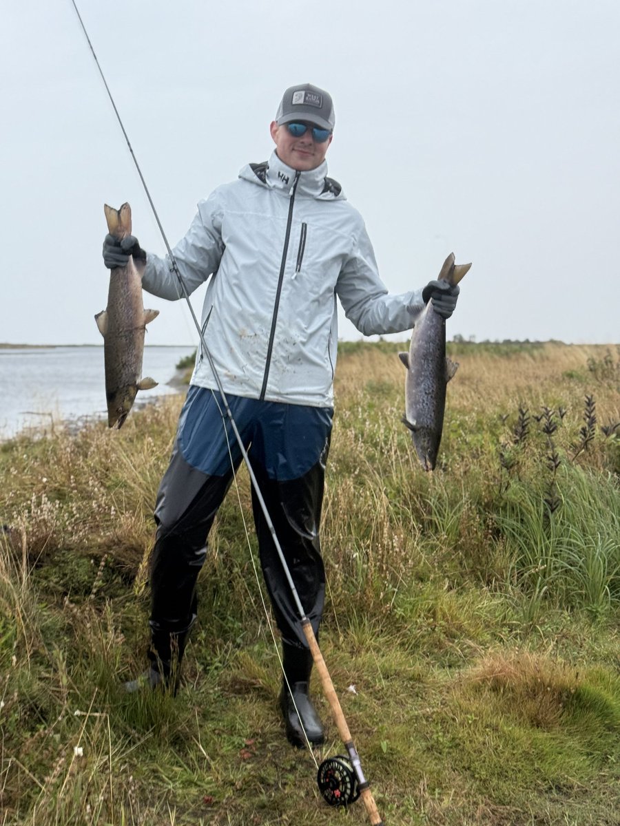 Reinforce tweet media