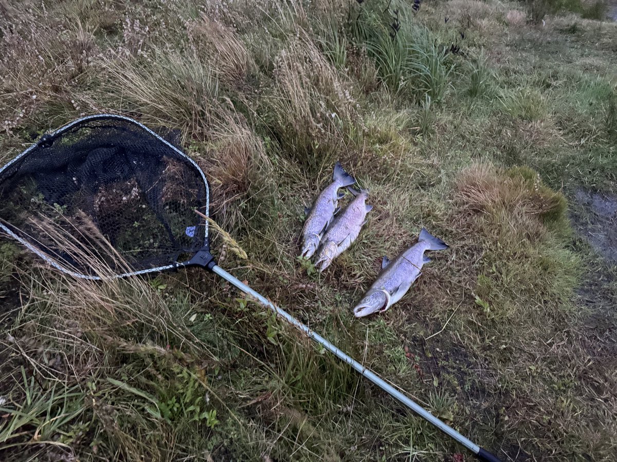 Reinforce tweet media