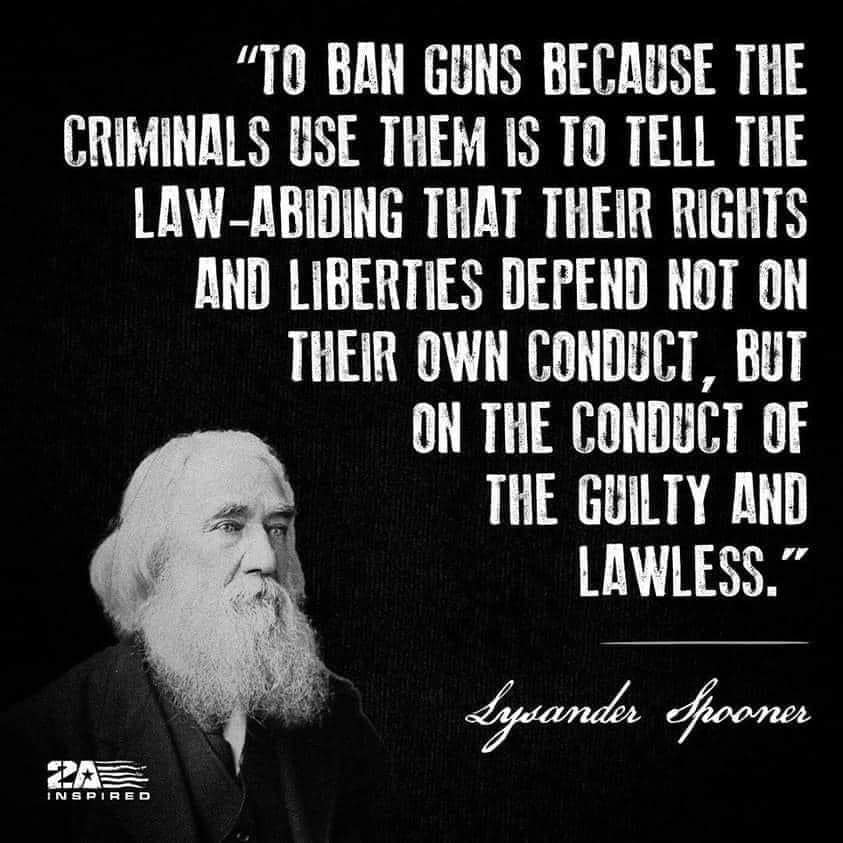 ZOG the Forever Toad🐸 tweet media