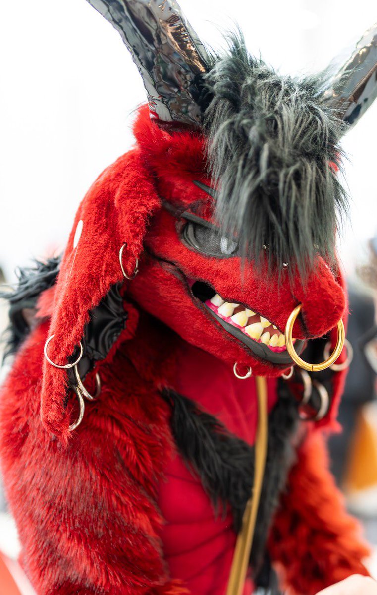 CHARCOAL THE SERGAL🖤 tweet media