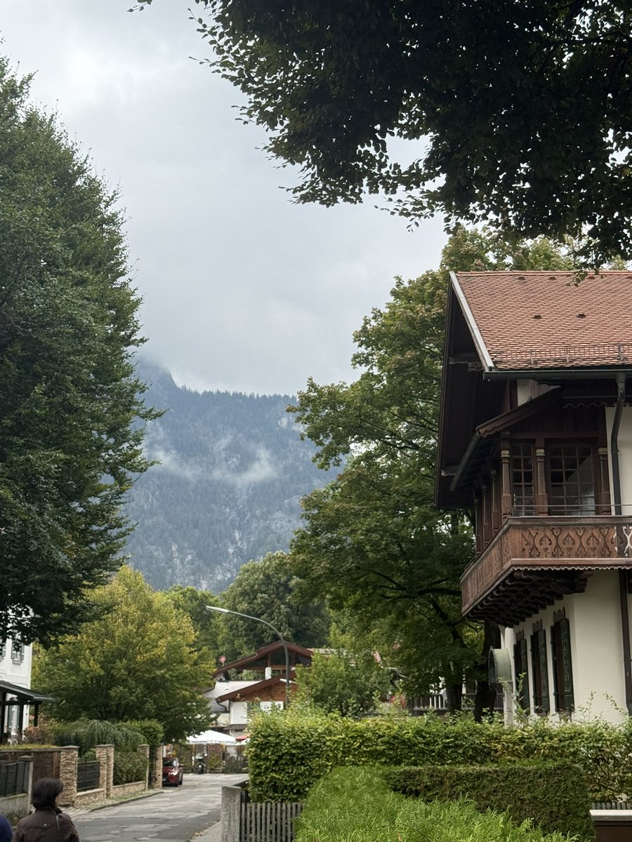 Nathan Lee tweet media