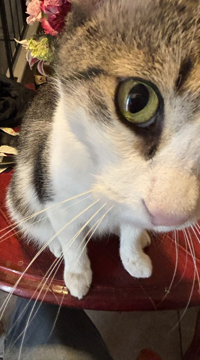 Harry Fisher tweet media