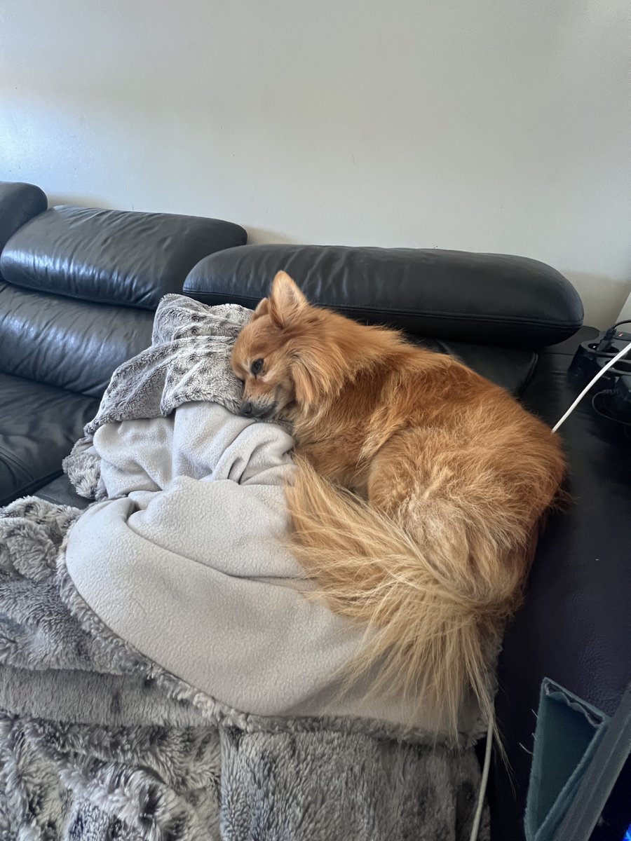 fleaupette's tweet photo. Mon fils est triste parce que son copain #monil est parti https://t.co/7FZFex7FrZ