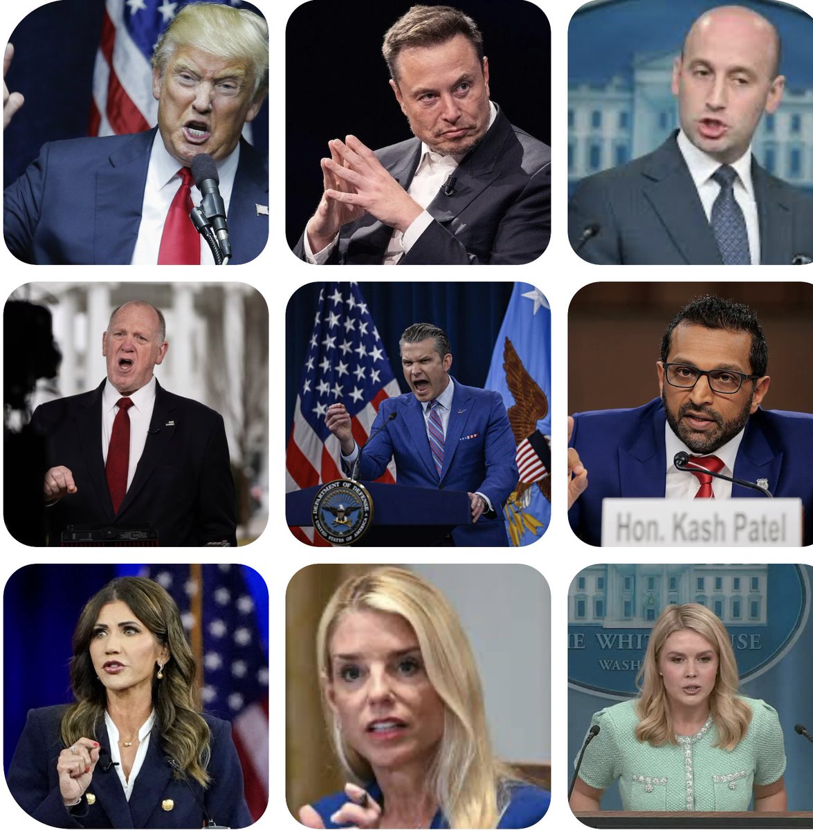 IamARoosterMAN's tweet photo. @Damaan4u33 This type of language is now illegal, by order of the #Fascist Trump Regime and its MAGA #Antidem (anti-democracy) terrorist supporters. https://t.co/pRzqtosBKp