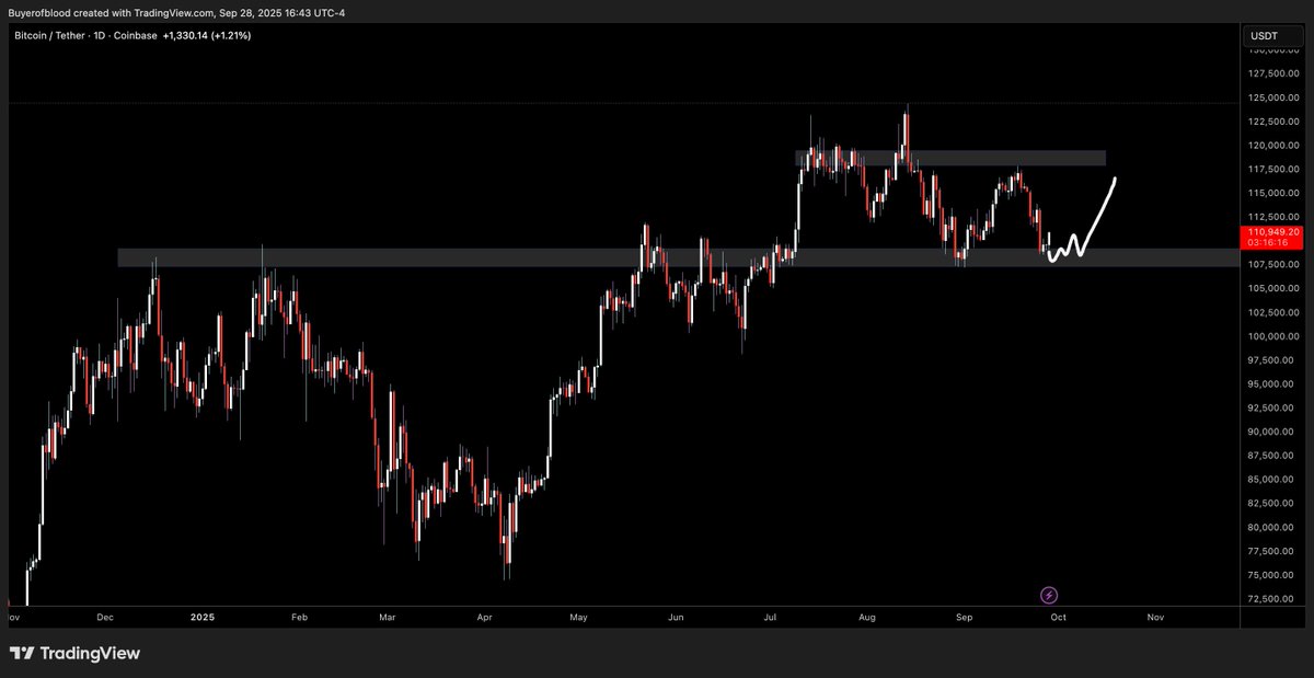Ponzi Trader tweet media