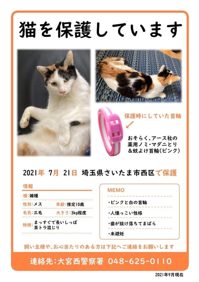 kurochan5110 on X: 