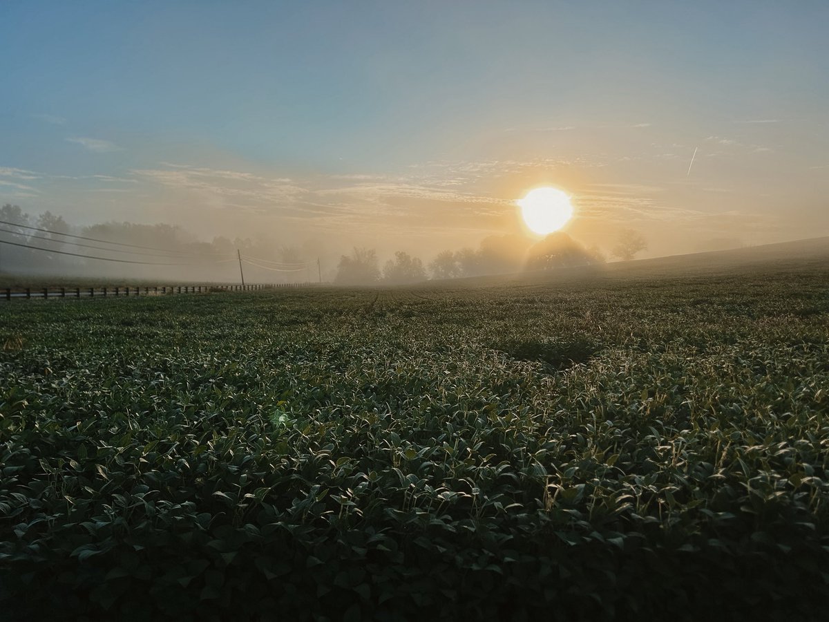 Kentucky mornings in the fall is its own thing.