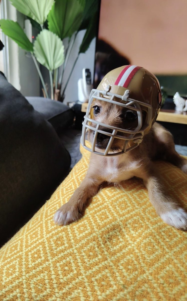 JesuaAlfaro's tweet photo. #NFLEnTelevisa viendo el juego de los @Jaguars vs @49ers , saludos desde Tuxtla Gutiérrez https://t.co/PoDXzErE2E