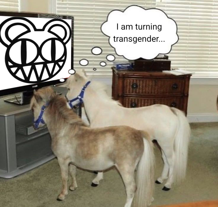 M.BEAR (@modbear_) on Twitter photo 