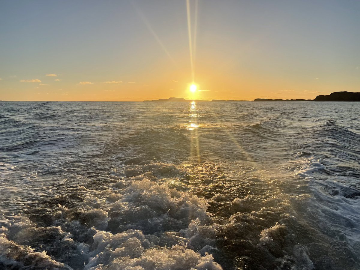 Martin Keivers tweet media