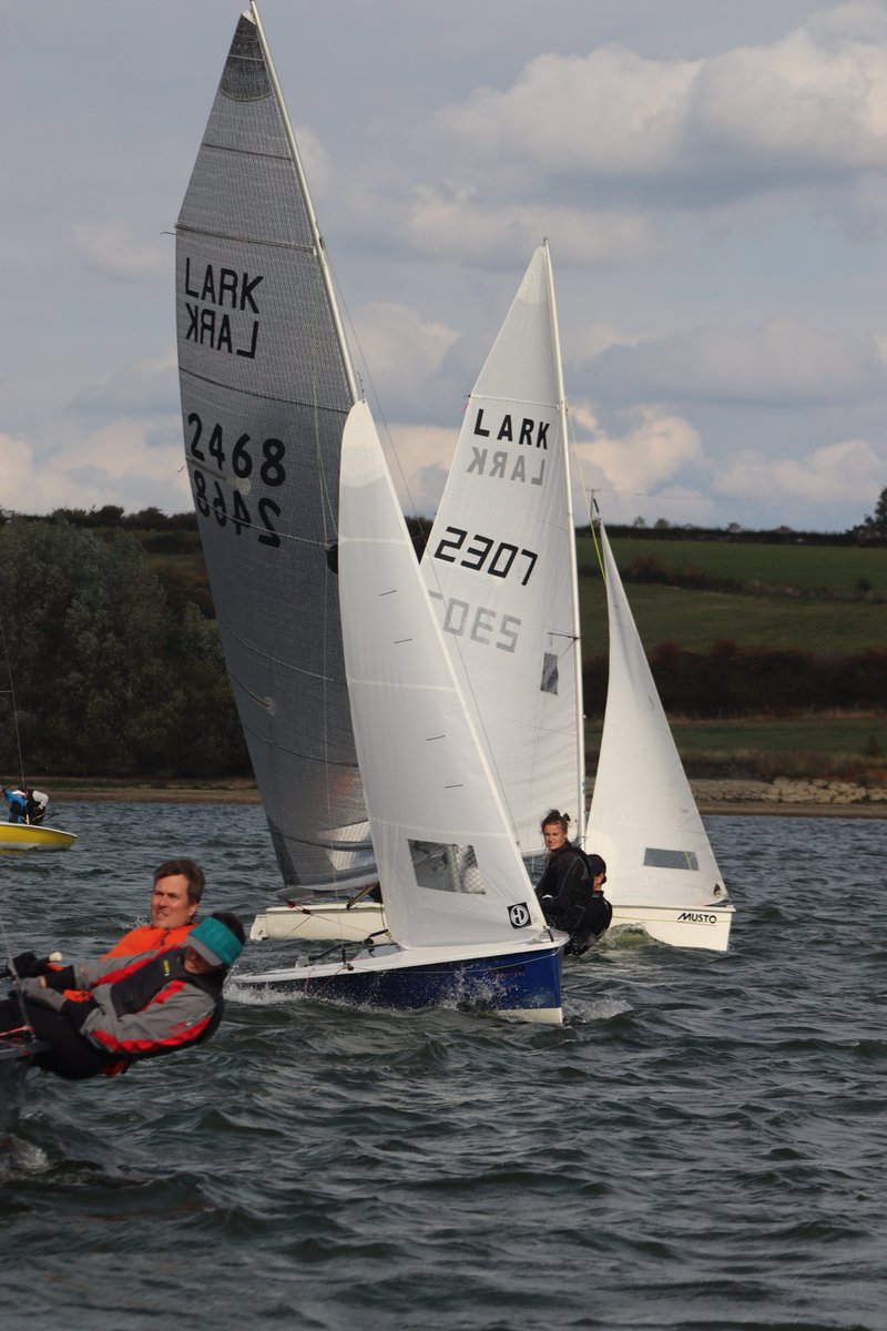 larksailing tweet media